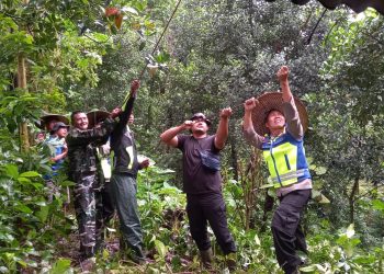 Polisi Sigap Evakuasi Pohon Tumbang Menimpa Rumah Warga di Desa Batealit