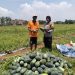 Polisi Ajak Petani di Jepara Tingkatkan Ketahanan Pangan Jelang Pilkada 2024
