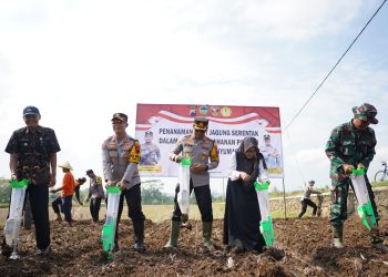 DUKUNG PROGRAM KETAHANAN PANGAN POLRESTA BANYUMAS TANAM BIBIT JAGUNG DAN TABUR BENIH IKAN