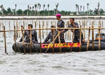 TNI AL dan Warga Bersama Bongkar Pagar Laut Ilegal di Tangerang