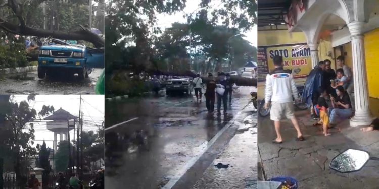 Pohon Tumbang di Depan Kantor Diklat LP Kedung Pane Semarang, Mobil Kijang Tertimpa, Tiga Orang Jadi Korban