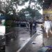 Pohon Tumbang di Depan Kantor Diklat LP Kedung Pane Semarang, Mobil Kijang Tertimpa, Tiga Orang Jadi Korban