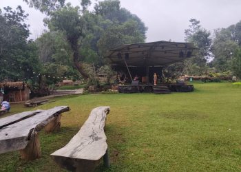 Liburan Asyik di Tengah Hutan Pinus, Pinusia Park Ungaran Tawarkan Wisata Keluarga yang Sejuk dan Instagramable