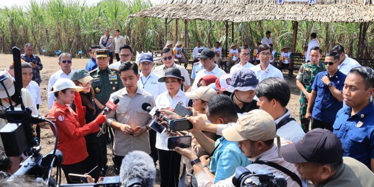 Panglima TNI Kawal Langsung Panen Tebu Untuk Swasembada Gula Nasional
