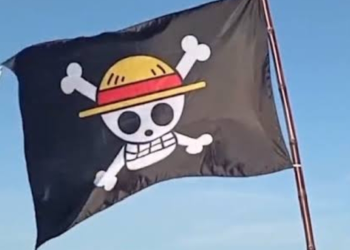 Viral! Bendera One Piece Dikibarkan Jelang HUT RI, Pemerintah Ingatkan Hormati Merah Putih