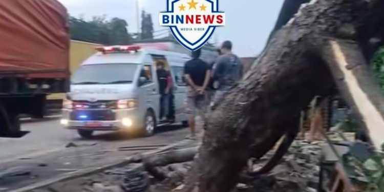 Kecelakaan Dua Truk Trailer di Kiw Tugu Mangkang, Pohon Besar Ikut Roboh