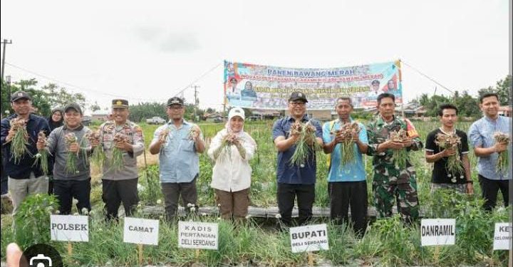 Bupati Genjot Program Unggulan Ketahanan Pangan, Deli Serdang Raih Prestasi Inflasi Terendah Per Januari 2026