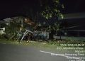 Pohon Besar Tumbang di Jalan Kartini Raya, Warga Tunggu Penanganan Dinas Terkait
