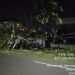 Pohon Besar Tumbang di Jalan Kartini Raya, Warga Tunggu Penanganan Dinas Terkait