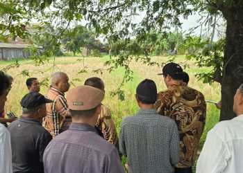 Soal Gugatan Lahan,Hakim Harus Objektif Melihat Kasus Ini