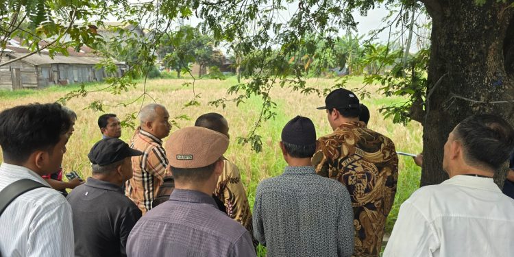 Soal Gugatan Lahan,Hakim Harus Objektif Melihat Kasus Ini