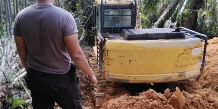 PT Barapala Acuhkan Negara, Panen Sawit Di Lahan Status Quo