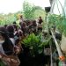 Belajar Kelola Sampah Sejak Dini, Siswa Kelas 1 SD IT Nidaul Hikmah Antusias Kunjungi TPS Bulu 3R