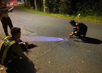 Pengendara Motor Meninggal Dunia Usai Tabrakan dengan Truk Box di Ngadirojo