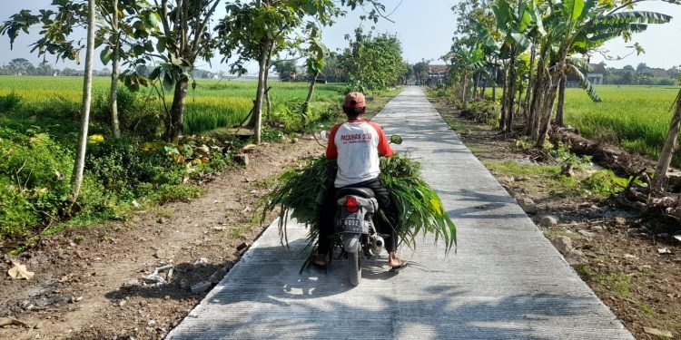 Jalan Cor Blok TMMD Permudah Peternak Domba Angkut Pakan