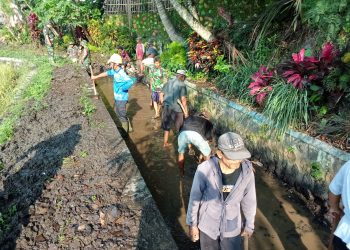 Babinsa Koramil 10/Sambi Bersama Warga Bersihkan Irigasi, Dukung Ketahanan Pangan di Desa Catur