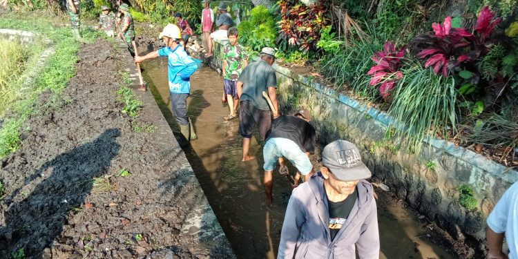 Babinsa Koramil 10/Sambi Bersama Warga Bersihkan Irigasi, Dukung Ketahanan Pangan di Desa Catur