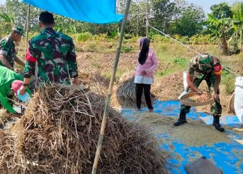Panen Melimpah, Senyum Petani Mengembang Berkat Pendampingan Babinsa