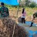 Panen Melimpah, Senyum Petani Mengembang Berkat Pendampingan Babinsa
