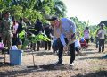 Perkuat Potensi Perkebunan Papua Barat, Wapres Tanam Bibit Kakao di Manokwari Selatan