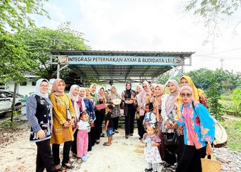 Keren, Lapas Purwodadi Panen Tomat, Telor Ayam Hingga Lele