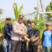 Kapolres Kendal Bersama Warga Tanam 700 Bibit Pohon di Tunggulsari, Perkuat Kelestarian Lingkungan