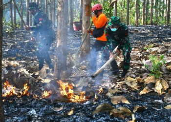 Masuki musim Kemarau, Kodim Wonogiri Gelar Latihan Penanggulangan Bencana Alam Kebakaran Hutan Lahan