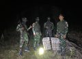 Satgas Pamtas RI-Malaysia Yonarmed 19/Bogani Gagalkan Dugaan Penyelundupan 200 Ekor Burung Kacer di Perbatasan