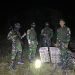 Satgas Pamtas RI-Malaysia Yonarmed 19/Bogani Gagalkan Dugaan Penyelundupan 200 Ekor Burung Kacer di Perbatasan