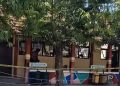 Pohon Tumbang Timpa SDN Sendangmulyo 03 Semarang, Seluruh Siswa Selamat Berkat Evakuasi Cepat
