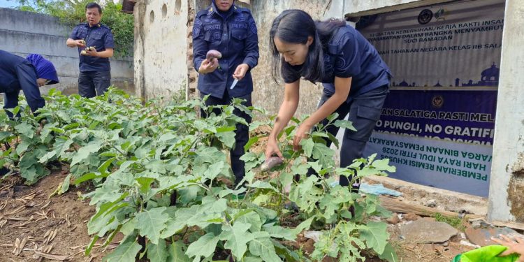 Rutan Salatiga Panen Terong, Dorong Warga Binaan Semakin Produktif