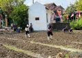 Kuatkan Pembinaan Ketahanan Pangan, Lapas Purwodadi Tanam Benih Bayam
