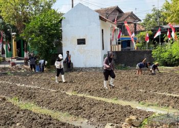 Kuatkan Pembinaan Ketahanan Pangan, Lapas Purwodadi Tanam Benih Bayam