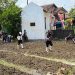 Kuatkan Pembinaan Ketahanan Pangan, Lapas Purwodadi Tanam Benih Bayam