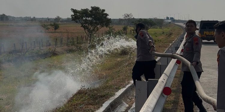 Cegah Kebakaran Meluas, Polres Brebes Quick Respons Tangani Pembakaran Liar di Lahan Persawahan