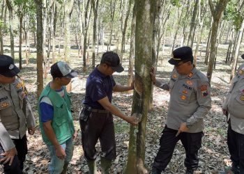 Polsek Sidorejo Tingkatkan Patroli Cegah Karhutla di Kawasan PTPN I Regional 3
