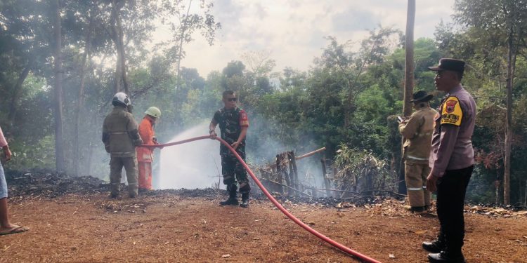 Polrestabes Semarang Waspadai Ancaman Karhutla, 24 Titik Kebakaran Terdeteksi dalam Dua Bulan