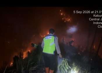 Kebakaran Lahan Perhutani di Karanggayam, 1,5 Hektare Terbakar