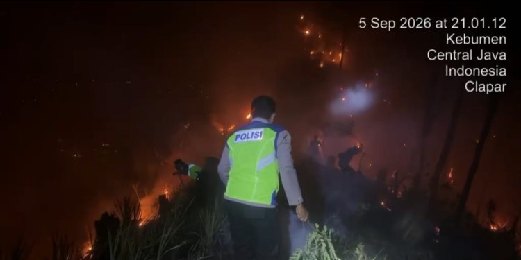 Kebakaran Lahan Perhutani di Karanggayam, 1,5 Hektare Terbakar