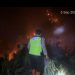 Kebakaran Lahan Perhutani di Karanggayam, 1,5 Hektare Terbakar
