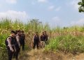Polisi Pati Patroli Cegah Karhutla di Kecamatan Pucakwangi