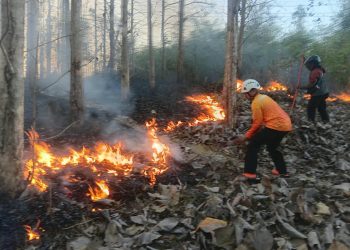 Cepat Tanggap, Babinsa Koramil Sutojayan Bersama Tim Gabungan Berhasil Padamkan Karhutla 2 Hektar Di Blitar