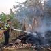 Polsek Cipari Gerak Cepat Padamkan Kebakaran Pangkalan Kayu, Cegah Api Merembet ke Lahan Warga