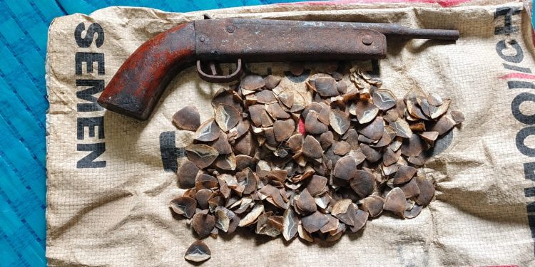 Jalin Kedekatan dengan Warga, Satgas Pamtas RI-Malaysia Yonarmed 19/Bogani Terima Senjata Rakitan dan Sisik Trenggiling