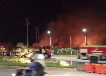 Kebakaran Lahan Kosong di Komplek POJ Semarang Barat, Polisi Periksa Lima Orang Berstatus Saksi