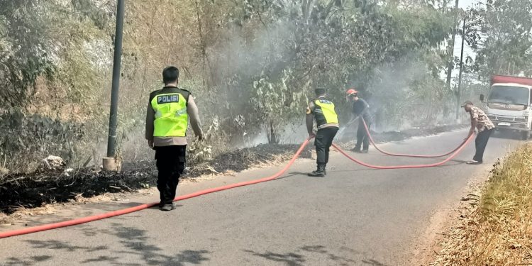 Aksi Cepat Anggota Polsek Mayong Bersama Warga Padamkan Kebakaran Kebun Tebu di Desa Buaran